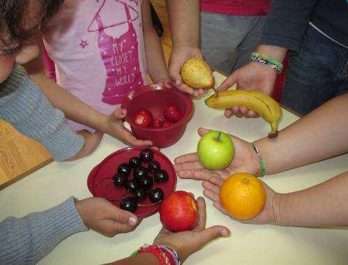Figura 34: Regime de Fruta Escolar Fonte: Câmara Municipal de
