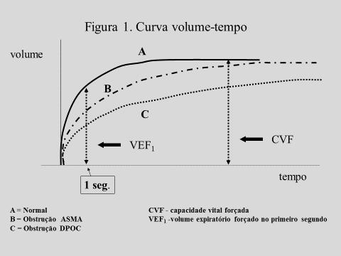 Arvore Brônquica