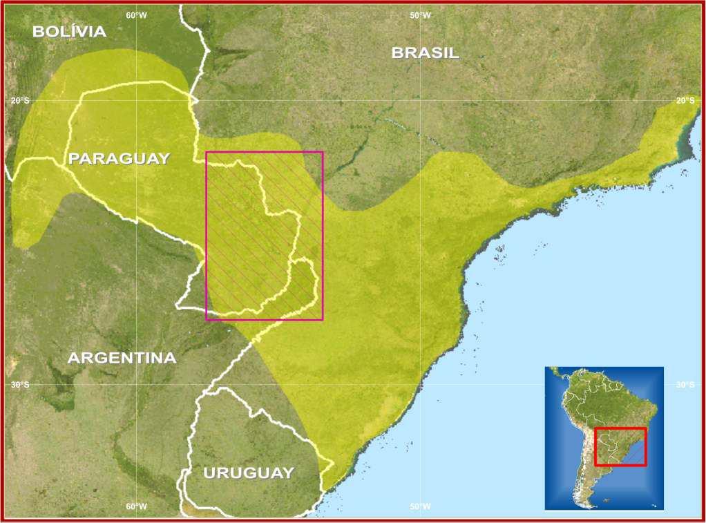 Os Guarani e Kaiowá ocupavam, tradicionalmente, um amplo território, na região sul do atual estado de Mato Grosso do Sul, situado entre o rio Apa (Bela Vista), Serra de Maracaju, rio Brilhante, rio