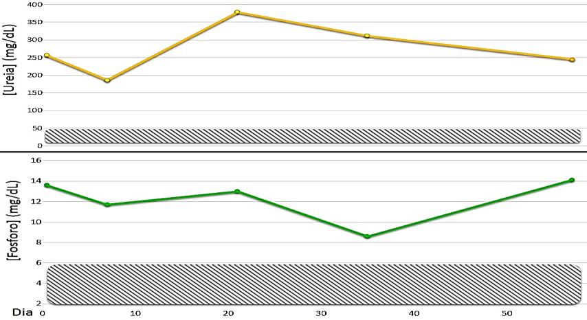 W; COUTO, C. G. Insuficiência renal aguda e doença renal crônica. In. Medicina interna de pequenos animais. 4ª edição, Rio de Janeiro. Editora Elsevier, 2010. cap. 44, p. 647-662 10. SLEE, A.