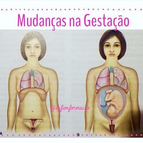 Sistema Respiratório Ocorre um aumento da quantidade de ar movimentado em cada ciclo e um aumento da frequência respiratória devido ao