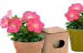349 0,747 9966 Maceta. Incluye 5-8 Semillas de Petunia. Flores Colores Surtidos. Macetero Biodegradable. Presentación Caja Individual. Flowerpot.