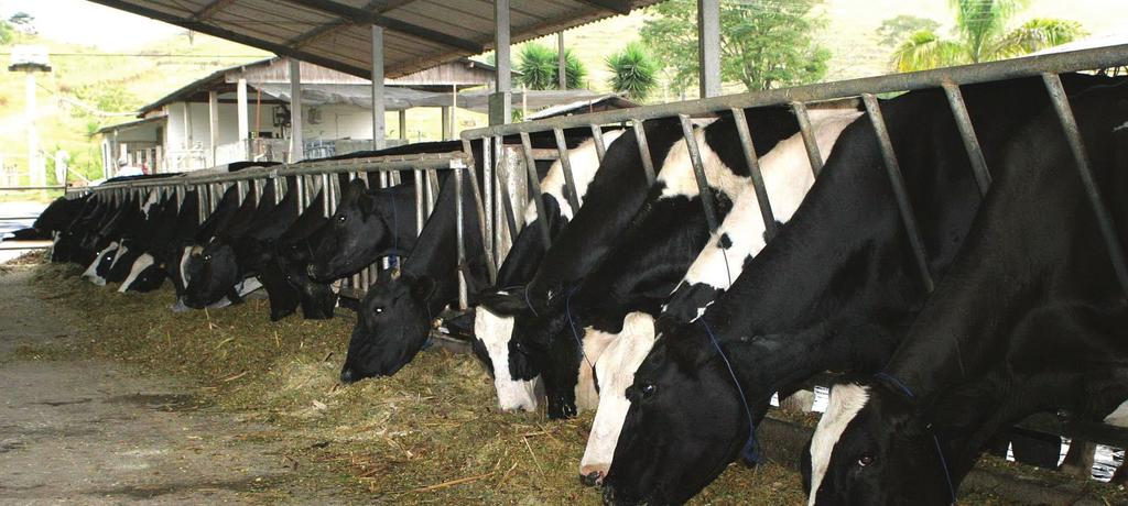 Custo de produção sobe em maio pelo 5º mês seguido Por Caio Monteiro e Ivan Barreto CUSTOS DE PRODUÇÃO Os custos de produção da pecuária leiteira seguiram em alta em maio pelo quinto mês consecutivo.