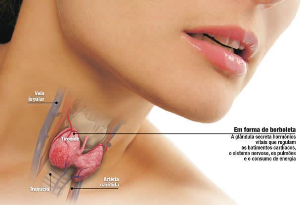 Tireóide 32 Aumento de até 50%; Aumento da taxa metabólica Basal; Sensação
