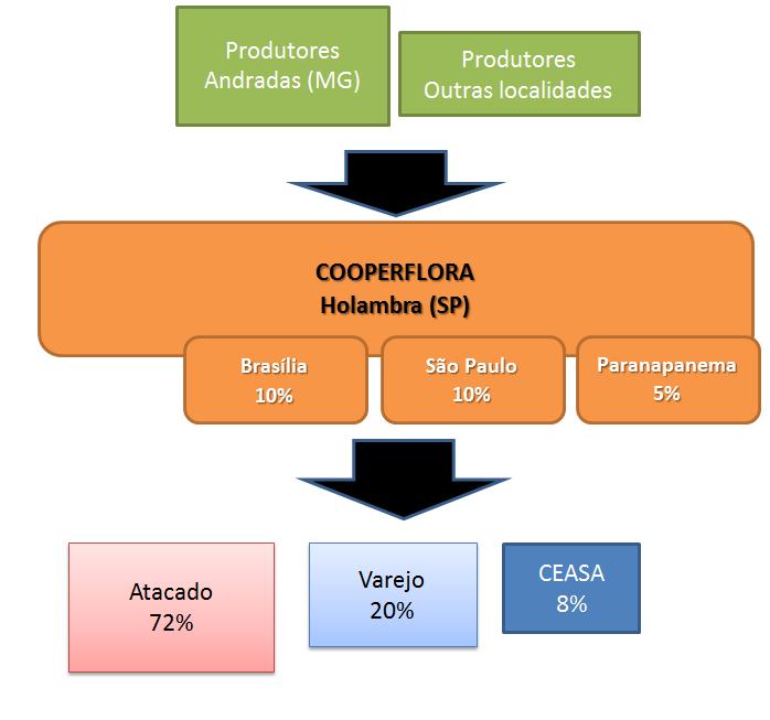 Figura 1: Cadeia logística de distribuição de rosas da cooperativa. Fonte: Elaborado pela autora a partir de informações disponibilizadas pelos agentes.