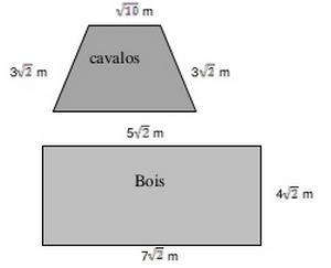 A que distância AB da parede ele deve posicionar a escada para que ela chegue exatamente até o topo da casa?