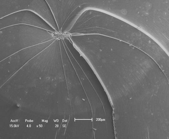 As micrografias das superfícies de fratura dos corpos de prova de tração do PC virgem e irradiado testados com e sem o iso-propanol, obtidas por microscopia