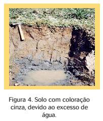 Efeito do excesso de água na cor do solo Um solo bem drenado é um solo no qual a água não tem dificuldade para infiltrar.
