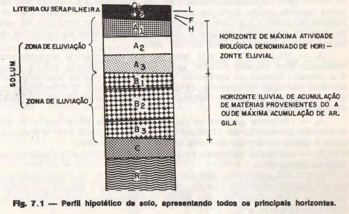 O perfil representa o resultado da influência de vários fatores que concorrem para a formação do solo, refletindo assim o histórico de sua evolução.