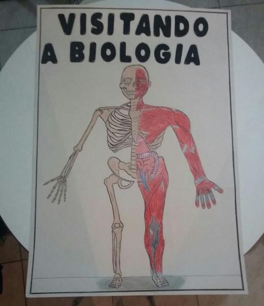 15. CONEX Resumo Expandido - ISSN 2238-9113 4 Figura 1- Cartaz Figura 2- Ossinhos Legenda: Cartaz produzido pelos discentes excutores, para finalização da visitação ao laboratório de anatomia Humana.