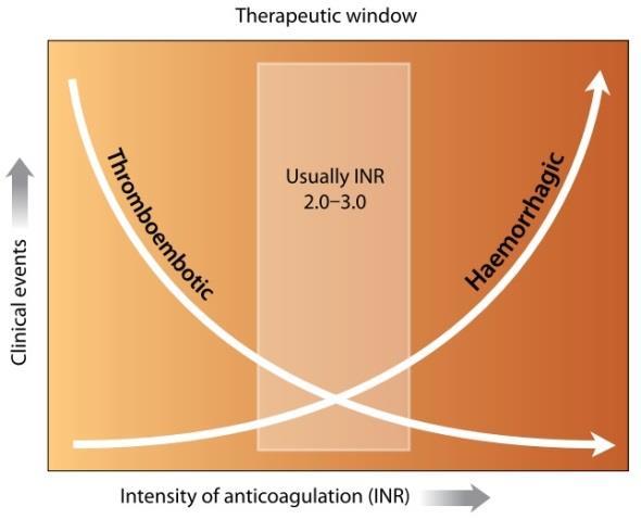 O INR num individuo que não se encontra a fazer terapêutica anticoagulante é 1. Dependendo da indicação terapêutica, o intervalo dos valores de INR variam, sendo o intervalo mais comum entre 2 e 3.