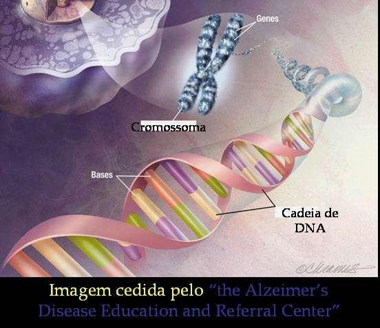 Técnicas do DNA recombinante.