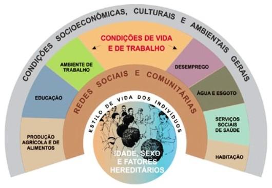 Importância de teorias para a enfermagem