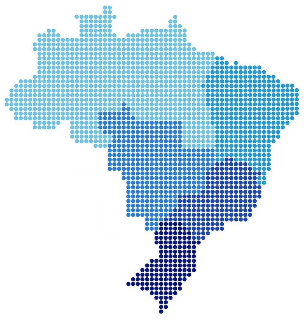 REGIÃO Manaus 2,6% Belém 4,0% Porto Velho 1,0% Boa Vista 0,3% Macapá 0,3% Palmas 0,3% Rio Branco 0,1% 8,6% NORTE 28,8% NORDESTE Salvador 8,8% Fortaleza 6,9% Recife 3,0% Natal 2,9% Teresina 2,2%