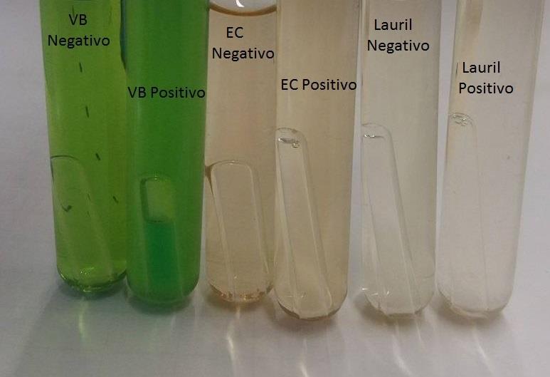 7 Verde Brilhante (VB) e Caldo Escherichia coli (EC). A prova presuntiva para análise de coliformes totais e termotolerantes baseia-se na inoculação das amostras em LST.