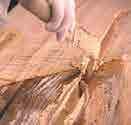 Embalagem: kit de 2,5 kg (comp. A = 2 kg; comp. B = 0,5 kg). Mapewood Paste 140 Adesivo epoxídico de consistência tixotrópica, para restauro de elementos estruturais em madeira.