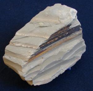 Fragmentos de outras rochas Orgânicas Matéria