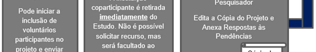 Pendência: o que habilitará o pesquisador a editar a cópia do projeto de coparticipante e enviá-lo novamente para nova apreciação do CEP