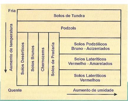 1º Sistema de Classificação Ordem intrazonal: Grande influência do relevo local e do material de origem Excesso de umidade e salinidade Azonais: Não tem características bem