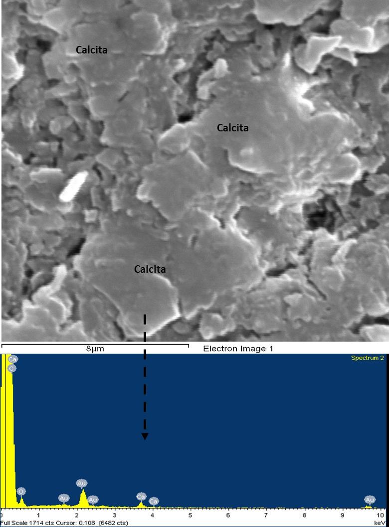 183 Figura 5.16 Cristais de calcita observados na lâmina TRT-01e e seu respectivo gráfico EDS com o pico de cálcio. Nota-se que a parte central dos cristais são mais escuros que as bordas.