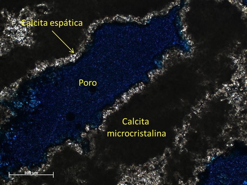 do poro em azul (corante azul de metileno) e matriz de calcita microcristalina.