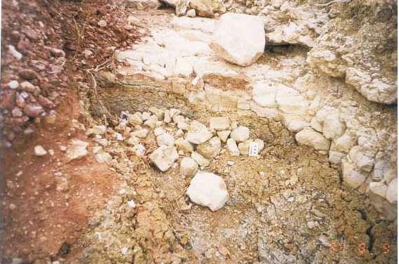 na borda sudoeste da Chapada do Apodi (Cassab, 2003). Figura 2.5.