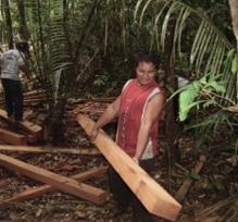 Ausência de tecnologia para a produção de pequena escala na Amazônia.