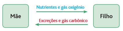 DESENVOLVIMENTO DO FETO MUDANÇAS MATERNAS 29/06/2018 Gravidez Na 9ª semana de vida, o embrião tem cerca de 2,5cm de comprimento e a aparência tipicamente humana, passando