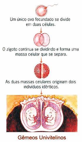 expulsão do feto por contrações