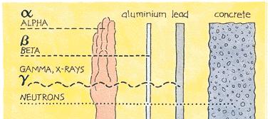 que demora para que metade dos núcleos radioactivos