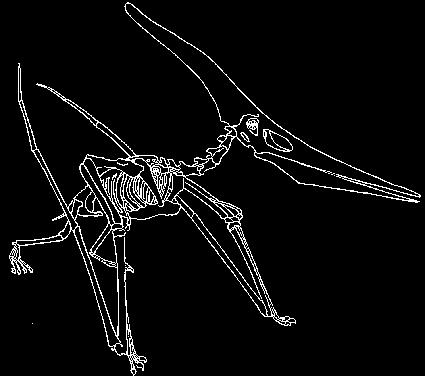 Caso 3 Pterossauros em Cruzeiro do Oeste Uma descoberta em 2012 de fósseis de idade do Cretáceo de