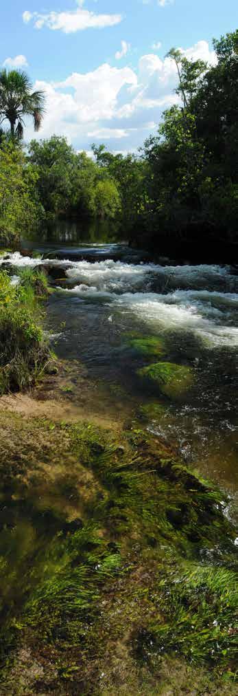 dos resultados de REDD+ no âmbito da UNFCCC.