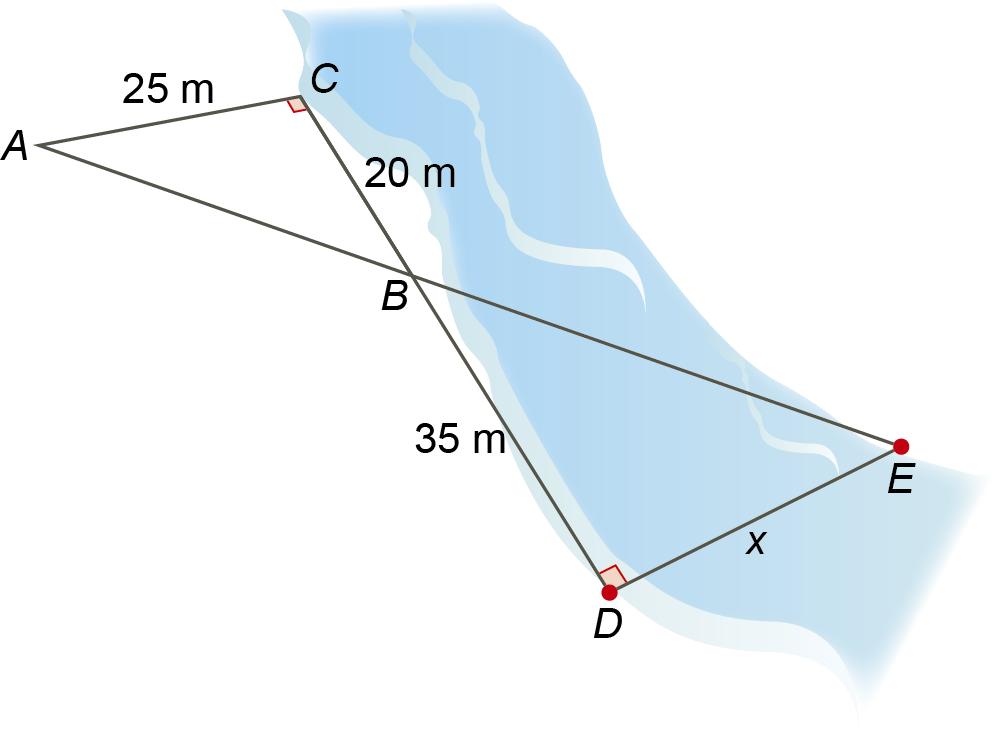 No referencial cartesiano, Oy, da figura estão representadas graficamente duas funções que relacionam a distância percorrida, em quilómetros, por duas andorinhas e o tempo de voo, em minutos.