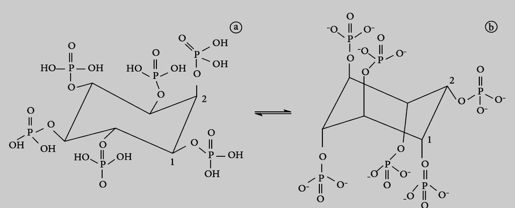 17 Figura 7. Conformações do ácido fítico. Fonte: Quirrenbach, H. R. et al., 2009, p. 25.