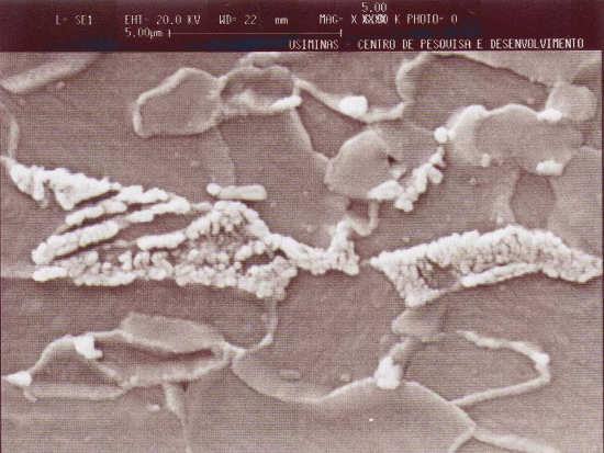 36 Em relação ao aspecto morfológico da ferrita, ela apresentou-se recristalizada, independentemente da condição de processamento