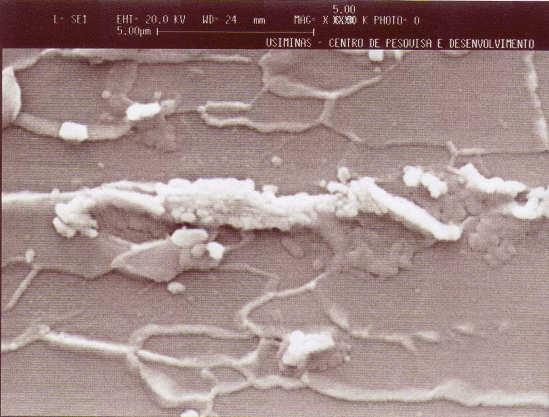 Esse aspecto da ferrita, sobretudo nas amostras laminadas a frio, é conseqüência do processo de recristalização ao qual elas foram