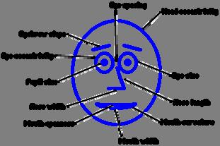 Caras de Chernoff As dimensões correspondem a características da face Até 11 dimensões facilmente reconhecíveis. A posição da cara num gráfico 2 ou 3D acrescenta ainda mais dimensões.