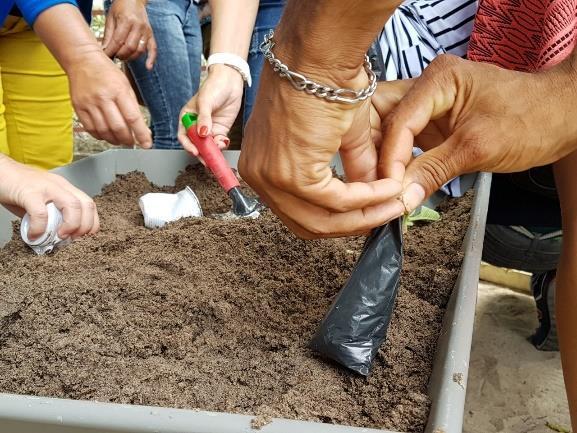 AULA DE CAMPO NA FAZENDINHA No dia 01 de agosto de 2017, promovemos a primeira