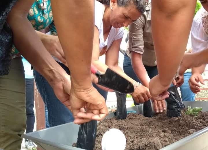 Na ocasião os participantes aprenderam a iniciar sua própria horta urbana,