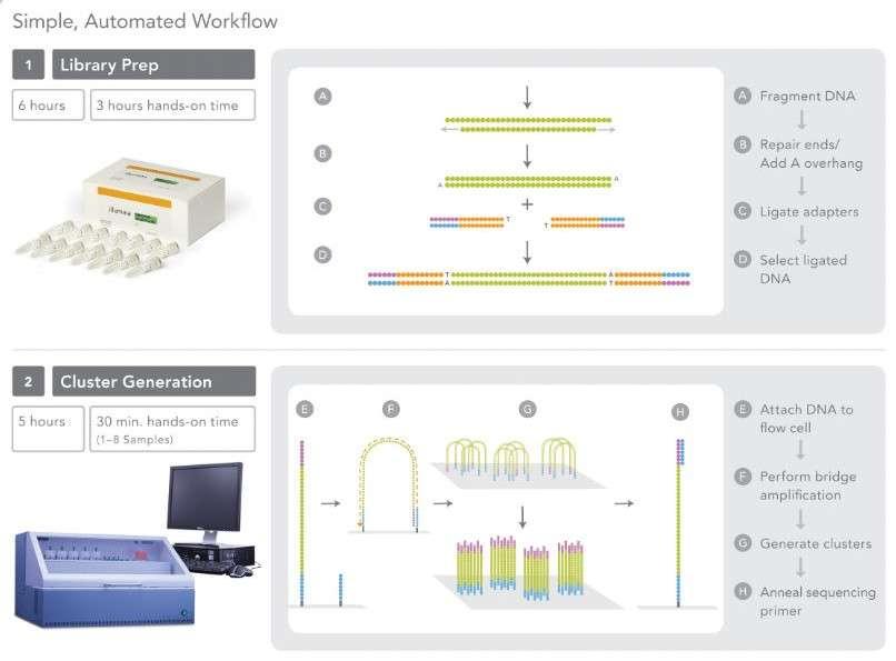 Illumina