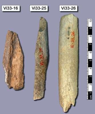 Fragmentos de ossos de Neandertal usados para a extração de DNA.