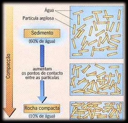 Surgimento da Rocha Sedimentar Transf.