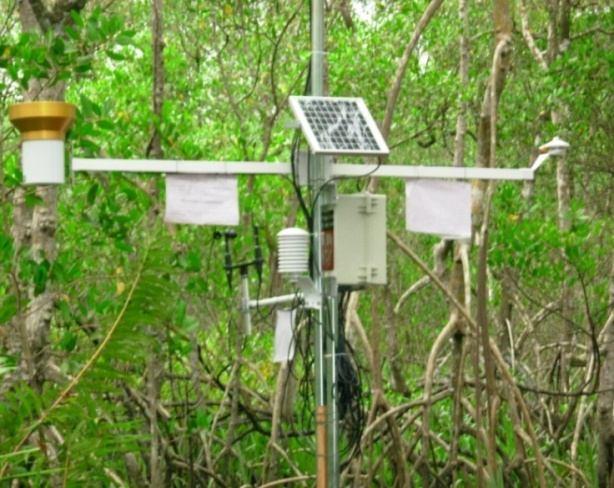 a) b) Figura : a) Vista da estação meteorológica, instalada nos manguezais da Barra do Ribeira Iguape/SP e b) abrigo meteorológico, contendo sensor de temperatura do ar e umidade relativa do ar - CS.