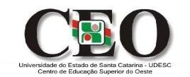 Curso de Enfermagem Programa de Extensão: Educação em Saúde. PROGRAMAS Profa. Bernadete Kreutz Erdmann Profa. Kiciosan da Silva Bernardi Profa. Maria Luiza Bevilaqua Brum Profa.