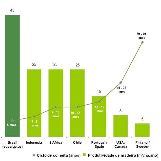 Produtividade florestal: o Brasil se