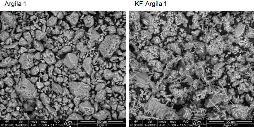 As Figuras 5.5, 5.6 e 5.7 representam as micrografias das argilas in natura (a) e dos catalisadores KF-Argila (b).