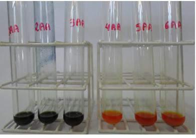 (três primeiros tubos da foto), enquanto os tubos contendo amostras de argila in natura (três últimos tubos) apresentaram coloração laranja, apresentando uma menor quantidade de sítios básicos.