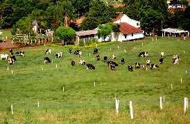 levou Bartolomeu Dias DOBRAR