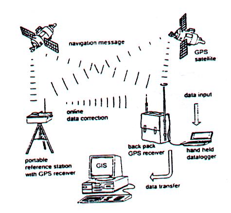 Observações de campo com