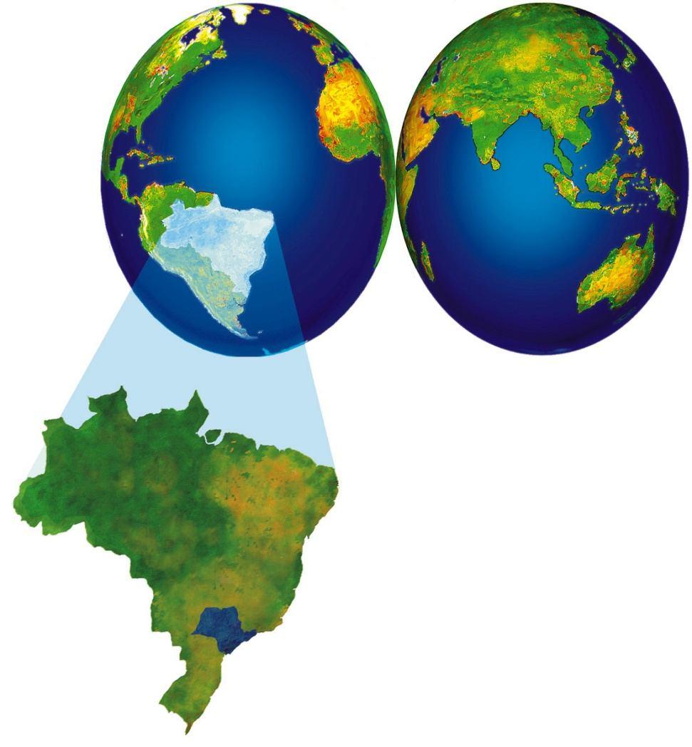 Oportunidades Econômicas em recursos hídricos Disponibilidades Hídricas do Brasil e Estado de São Paulo O Brasil é possuidor de 12 a 14 % da água da terra Mais de 70 %